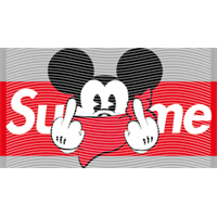 Brand Catalog-ZX 986